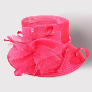 Stone Pointed Feather Mesh Bow Accented Dressy Hat